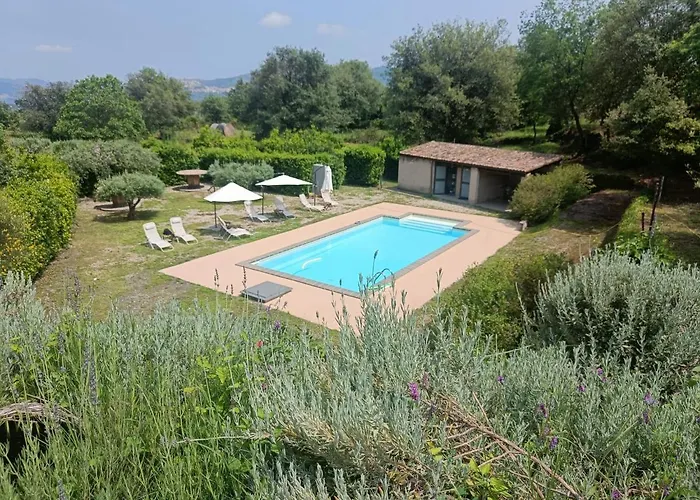 Il Tanaceto
