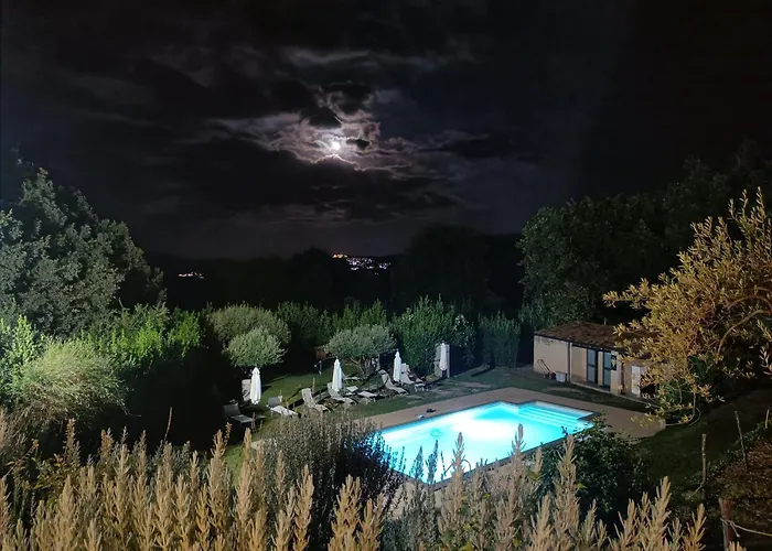 Il Tanaceto