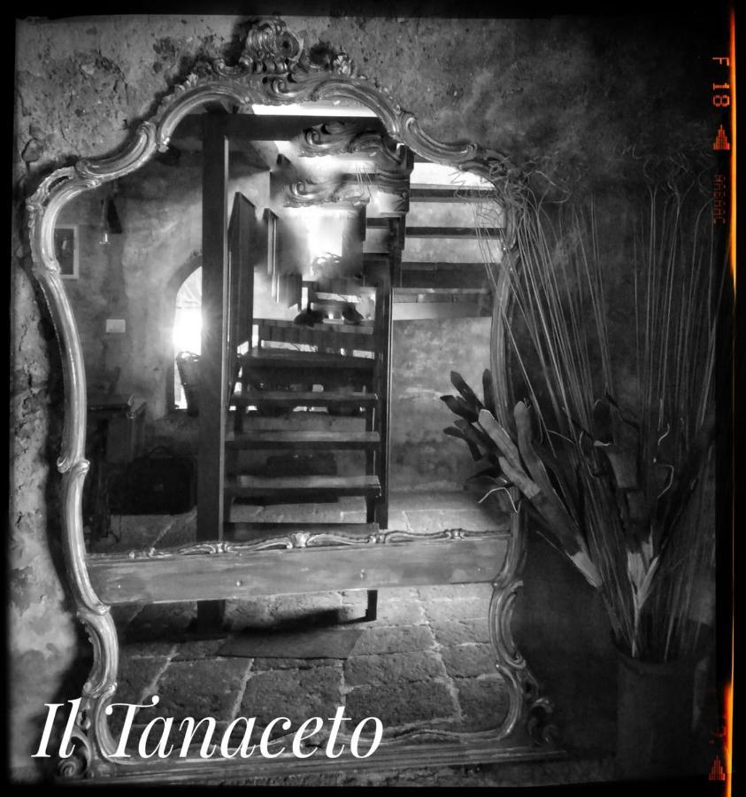 Guest house Il Tanaceto Castiglione De Sicilia