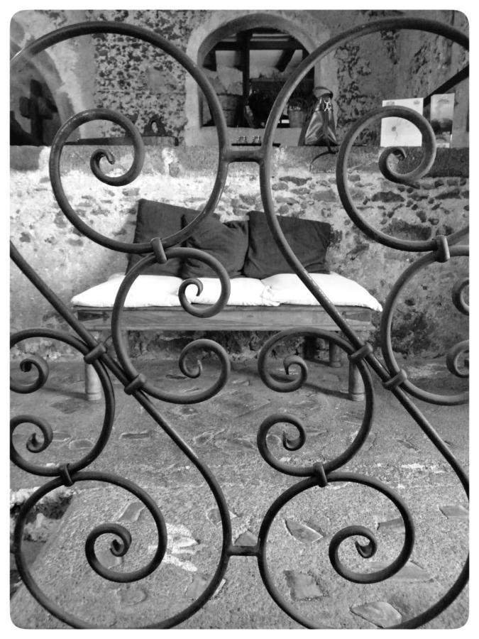 Il Tanaceto Guest house