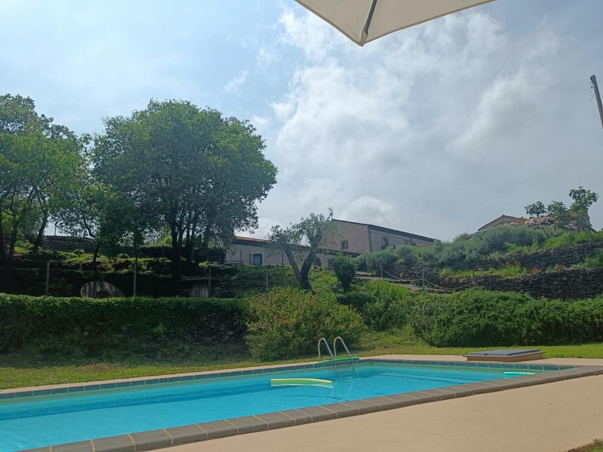 Il Tanaceto Guest house