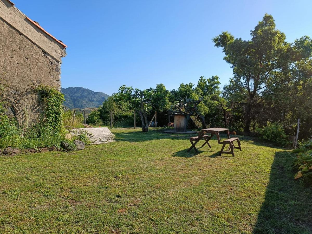 Il Tanaceto Guest house *