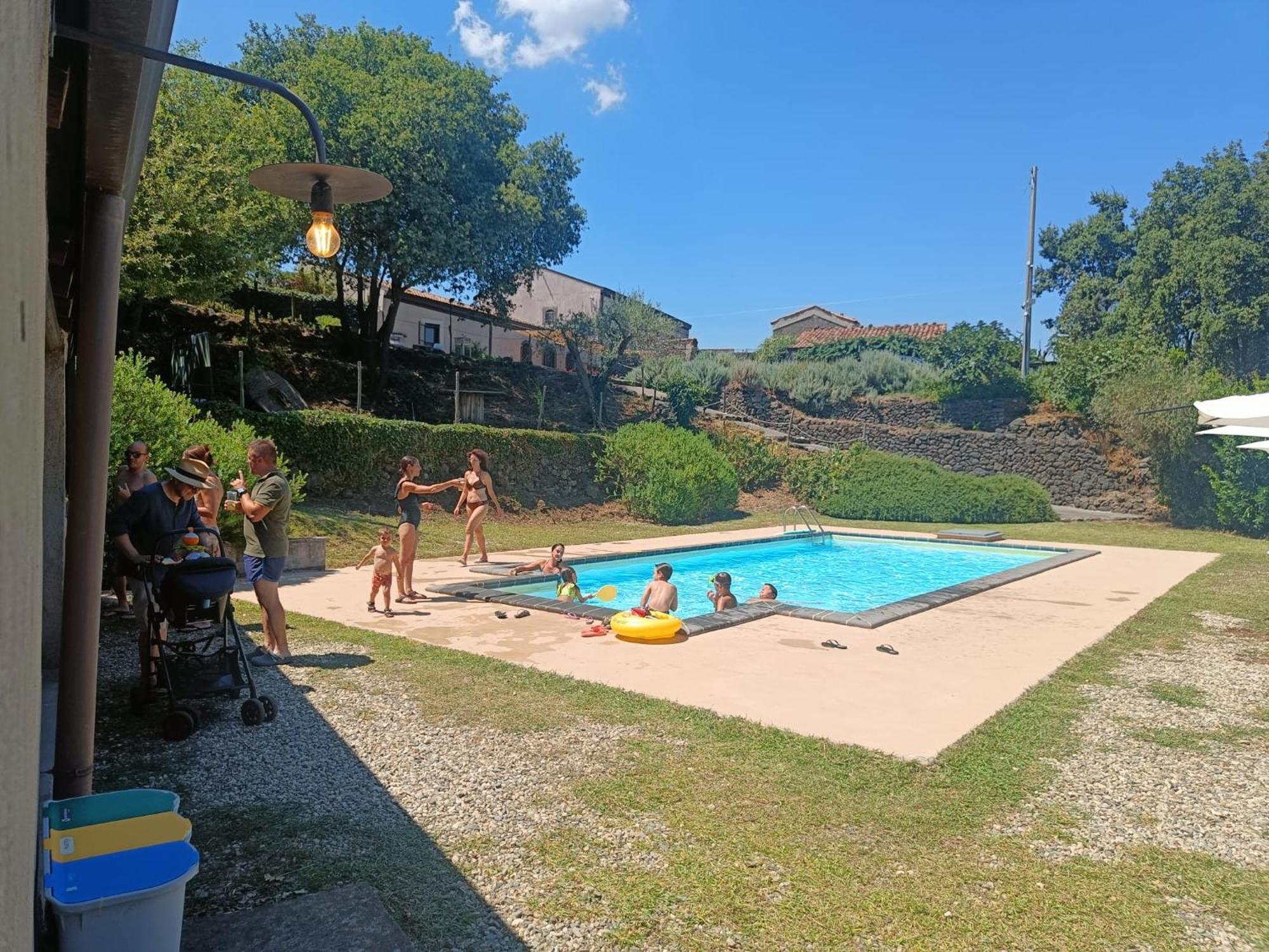 Il Tanaceto