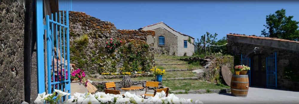 Maison d'hôtes Il Tanaceto
