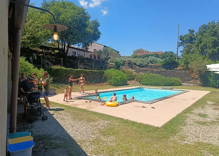 Il Tanaceto