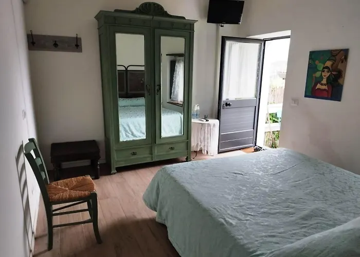 Il Tanaceto