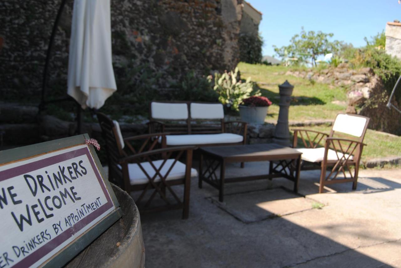 Il Tanaceto *