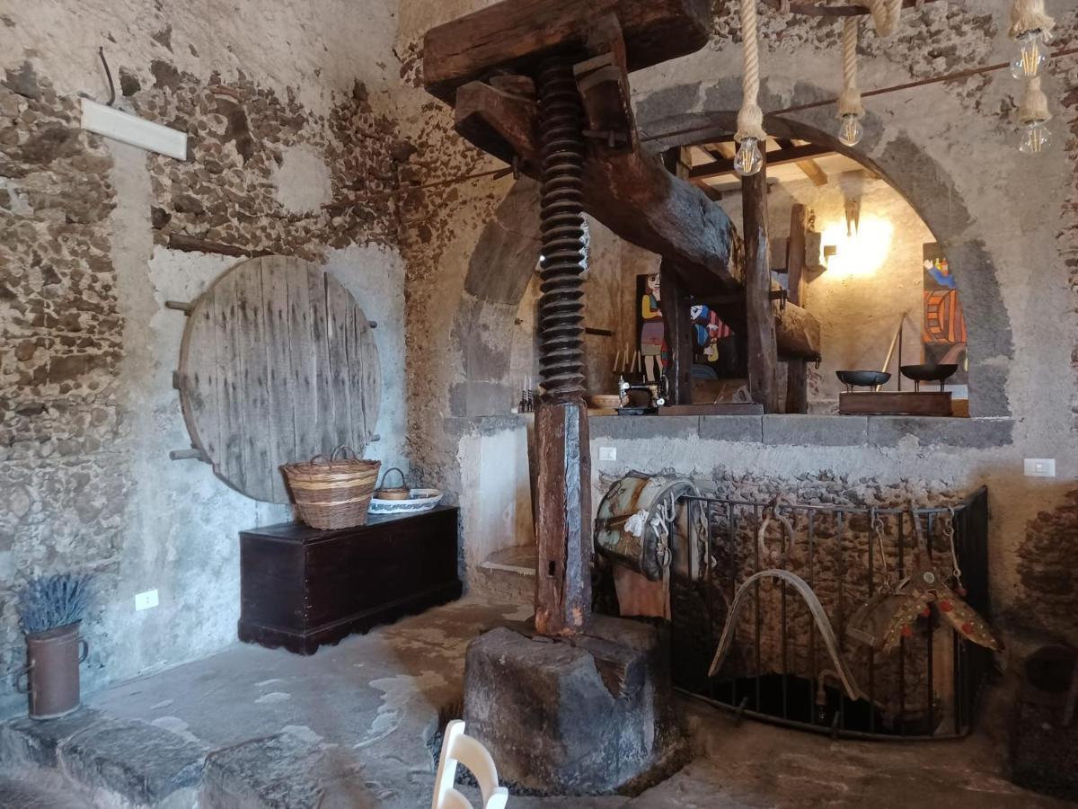 Il Tanaceto *