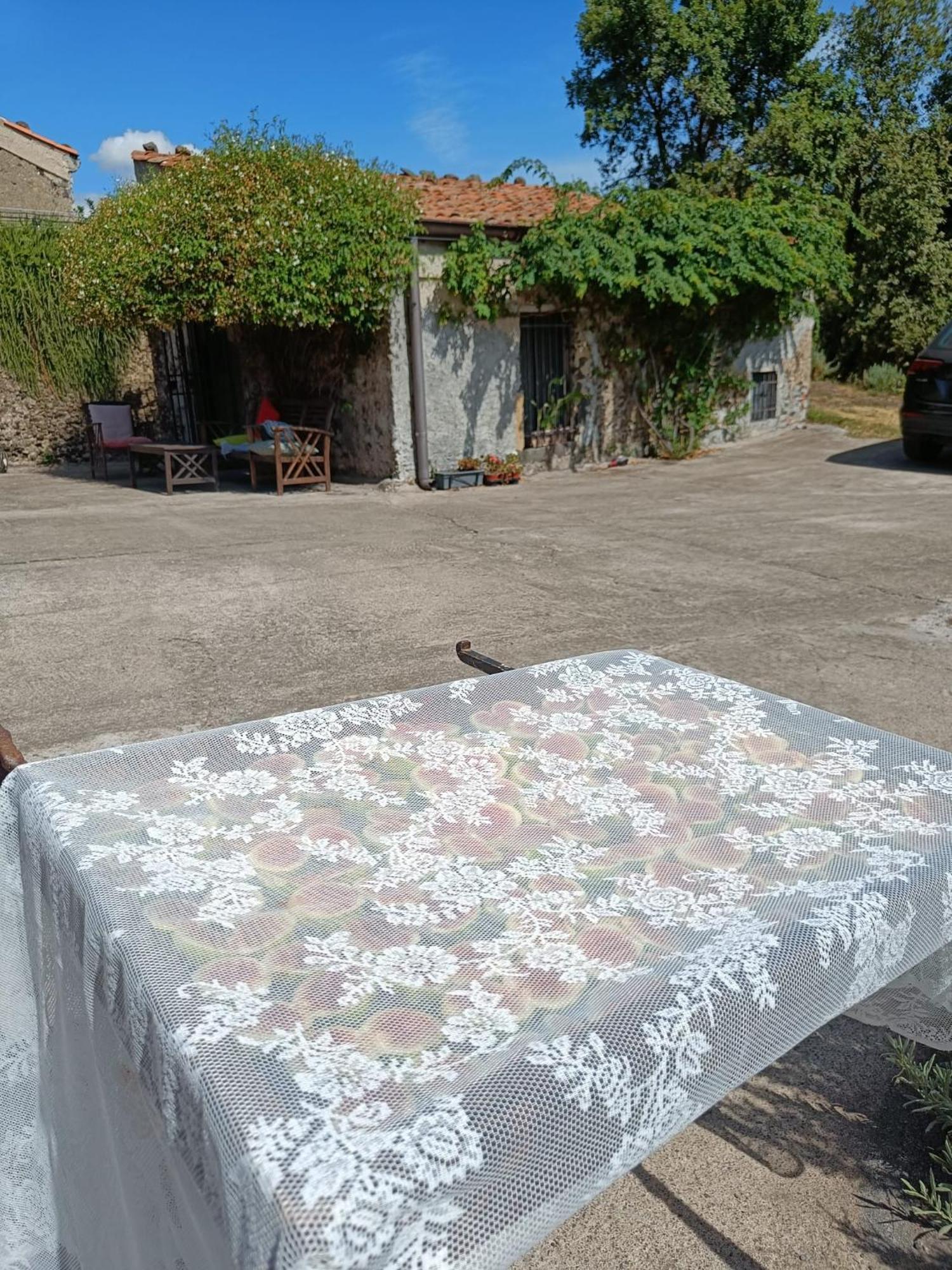 Il Tanaceto Pensión *